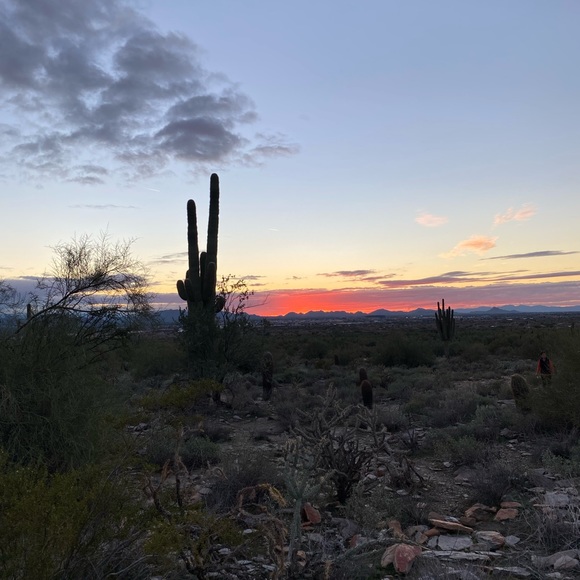 learyshelby